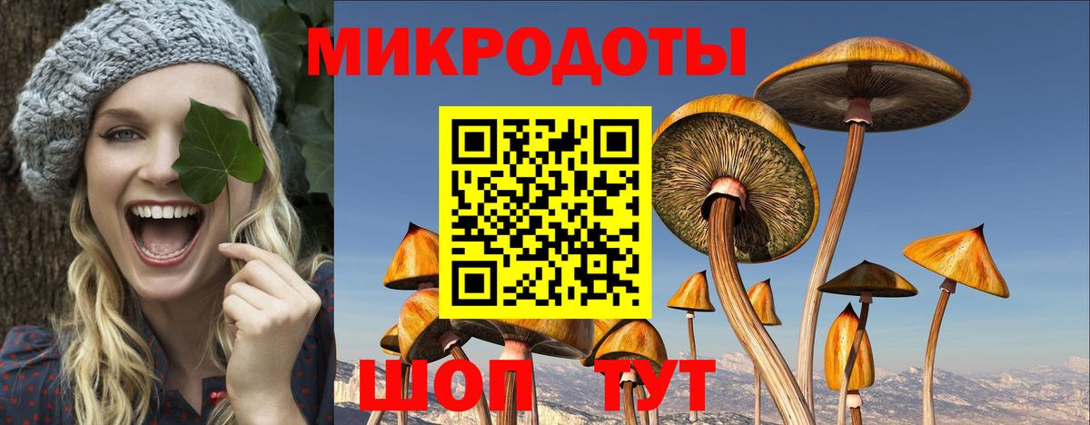 Псилоцибиновые грибы прущие грибы  где можно купить   Корсаков  Вход с VPN  Галлюциногенные грибы Psilocybine cubensis 